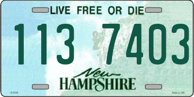 NH license plate 1137403