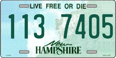 NH license plate 1137405