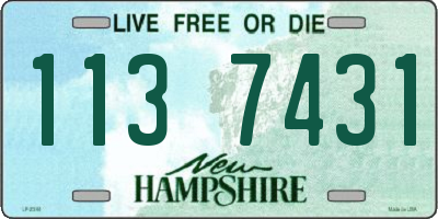 NH license plate 1137431