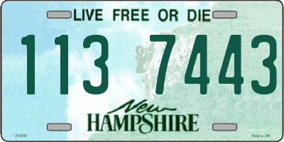 NH license plate 1137443