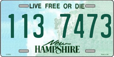 NH license plate 1137473
