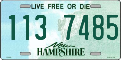 NH license plate 1137485