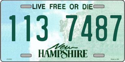 NH license plate 1137487