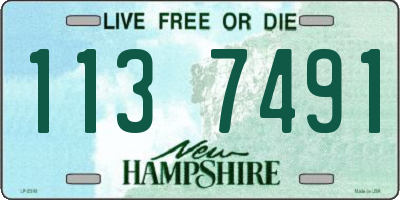 NH license plate 1137491