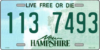 NH license plate 1137493