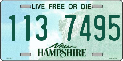 NH license plate 1137495