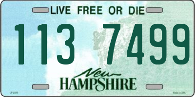 NH license plate 1137499