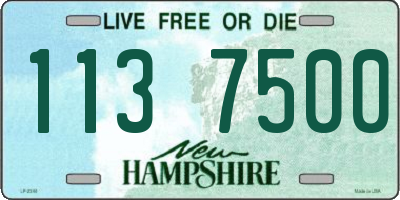 NH license plate 1137500