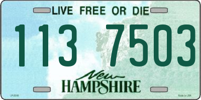 NH license plate 1137503