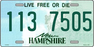 NH license plate 1137505