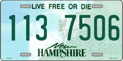 NH license plate 1137506