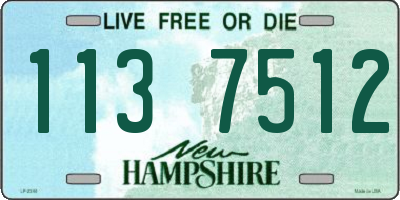 NH license plate 1137512