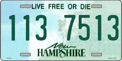NH license plate 1137513