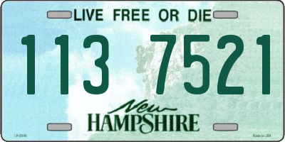 NH license plate 1137521