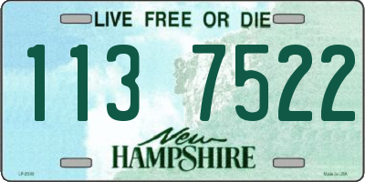 NH license plate 1137522