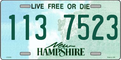 NH license plate 1137523