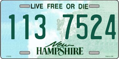 NH license plate 1137524