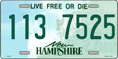 NH license plate 1137525