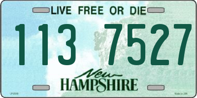 NH license plate 1137527