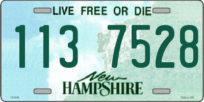 NH license plate 1137528
