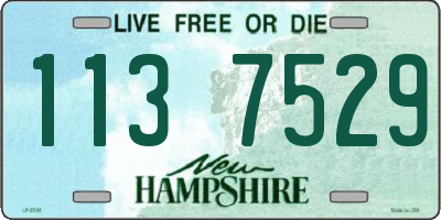 NH license plate 1137529