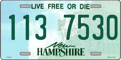 NH license plate 1137530