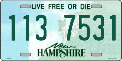 NH license plate 1137531