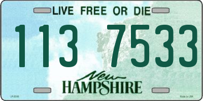NH license plate 1137533