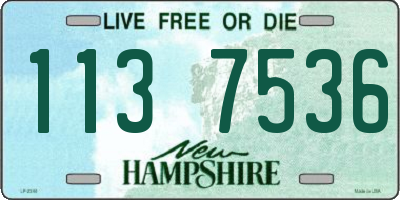 NH license plate 1137536