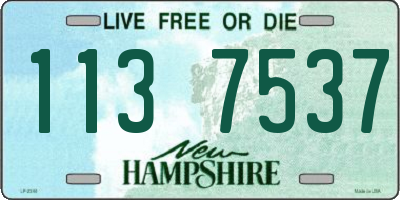 NH license plate 1137537