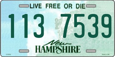 NH license plate 1137539