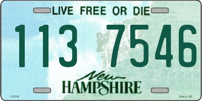 NH license plate 1137546