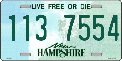 NH license plate 1137554