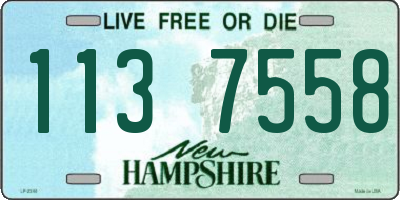NH license plate 1137558