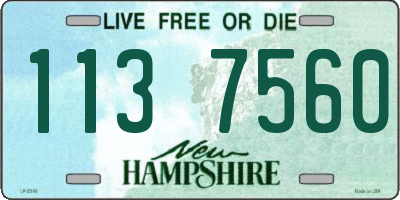 NH license plate 1137560