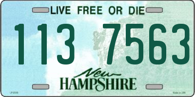 NH license plate 1137563