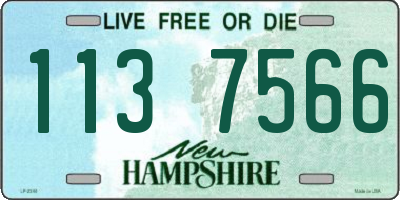 NH license plate 1137566