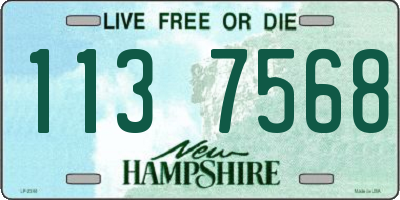 NH license plate 1137568