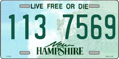 NH license plate 1137569