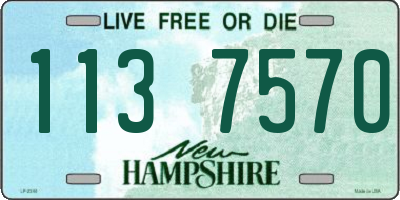 NH license plate 1137570
