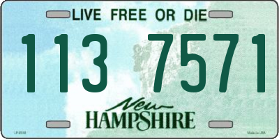 NH license plate 1137571