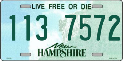 NH license plate 1137572