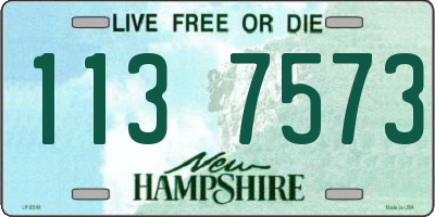 NH license plate 1137573