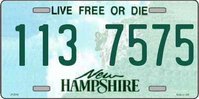 NH license plate 1137575