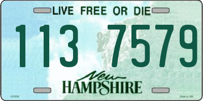 NH license plate 1137579