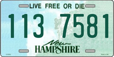 NH license plate 1137581