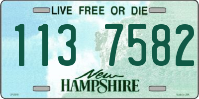 NH license plate 1137582
