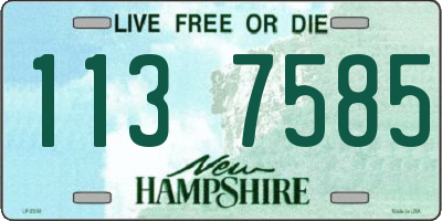 NH license plate 1137585