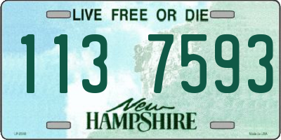 NH license plate 1137593