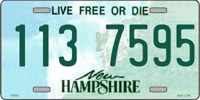 NH license plate 1137595